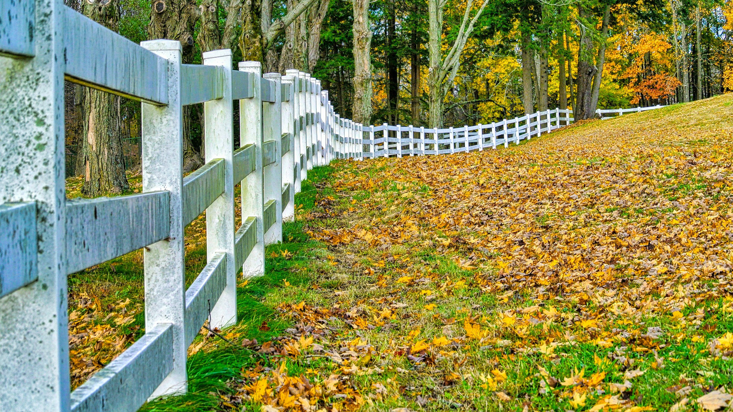 3000x1687 White Picket Fence Picture. Download Free Image