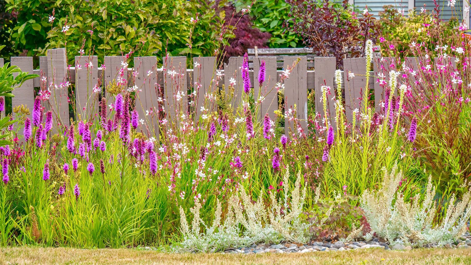 1600x900 Fence Landscaping Ideas To Perk Up Your Property Line. Gardening Know How
