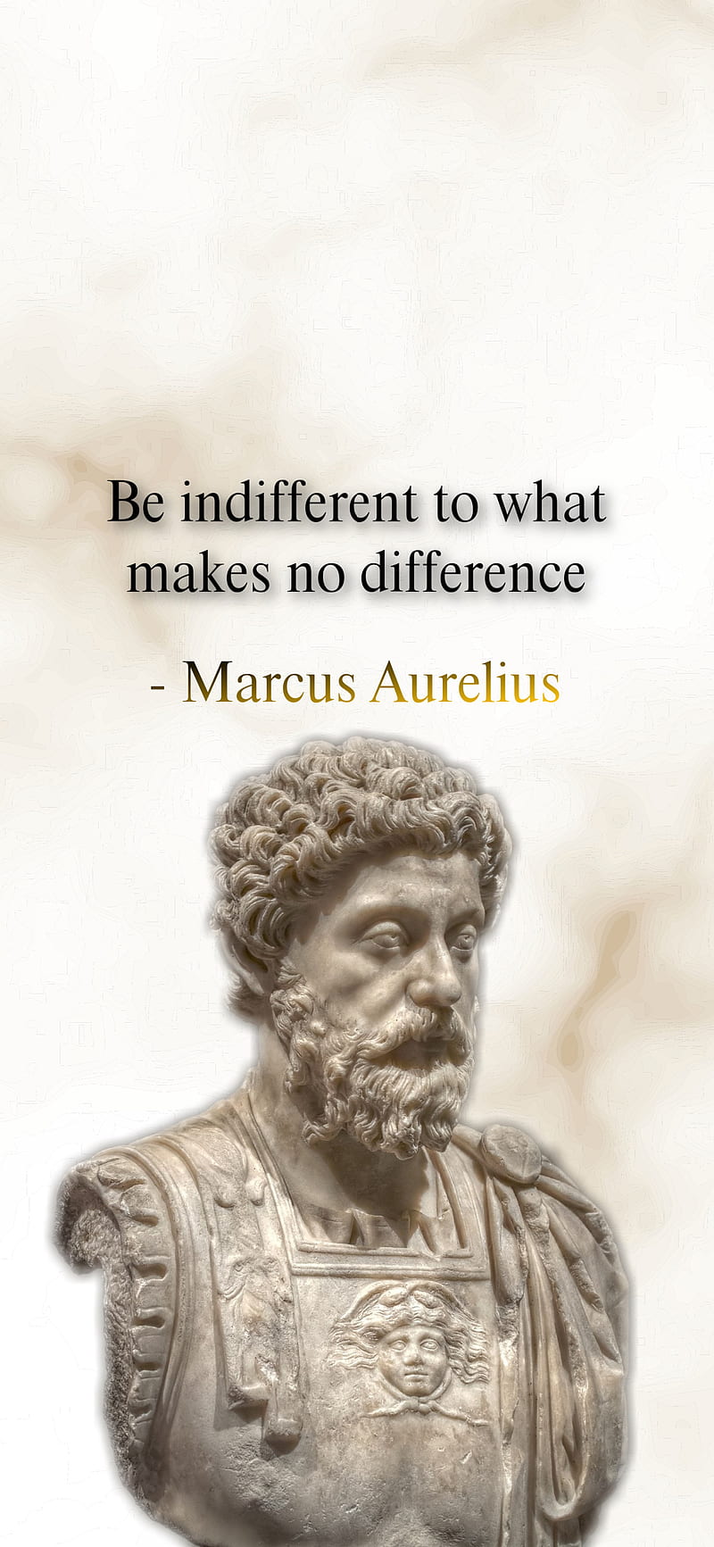 800x1733 HD marcus aurelius wallpaper