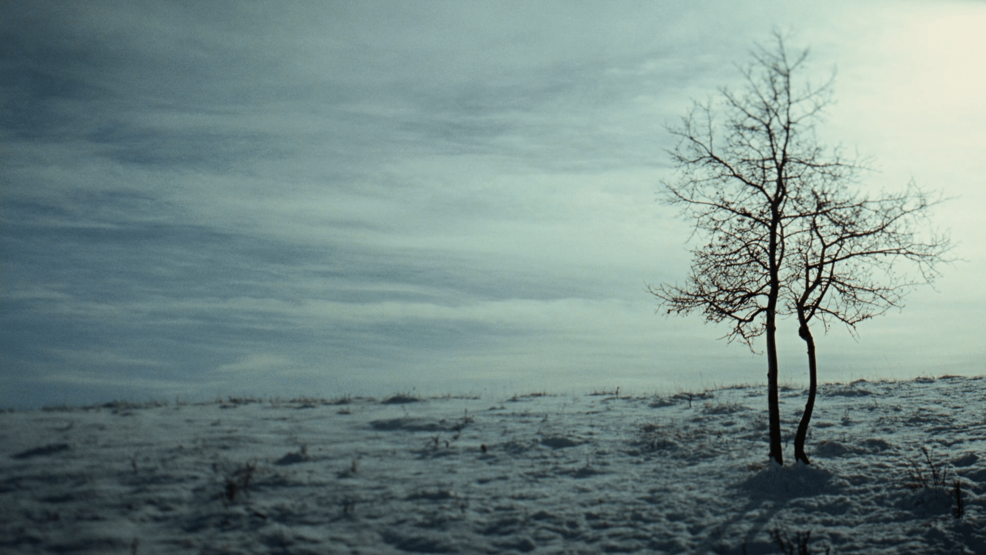 1920x1080 The Assassination of Jesse James by the Coward Robert Ford (2007) directed
