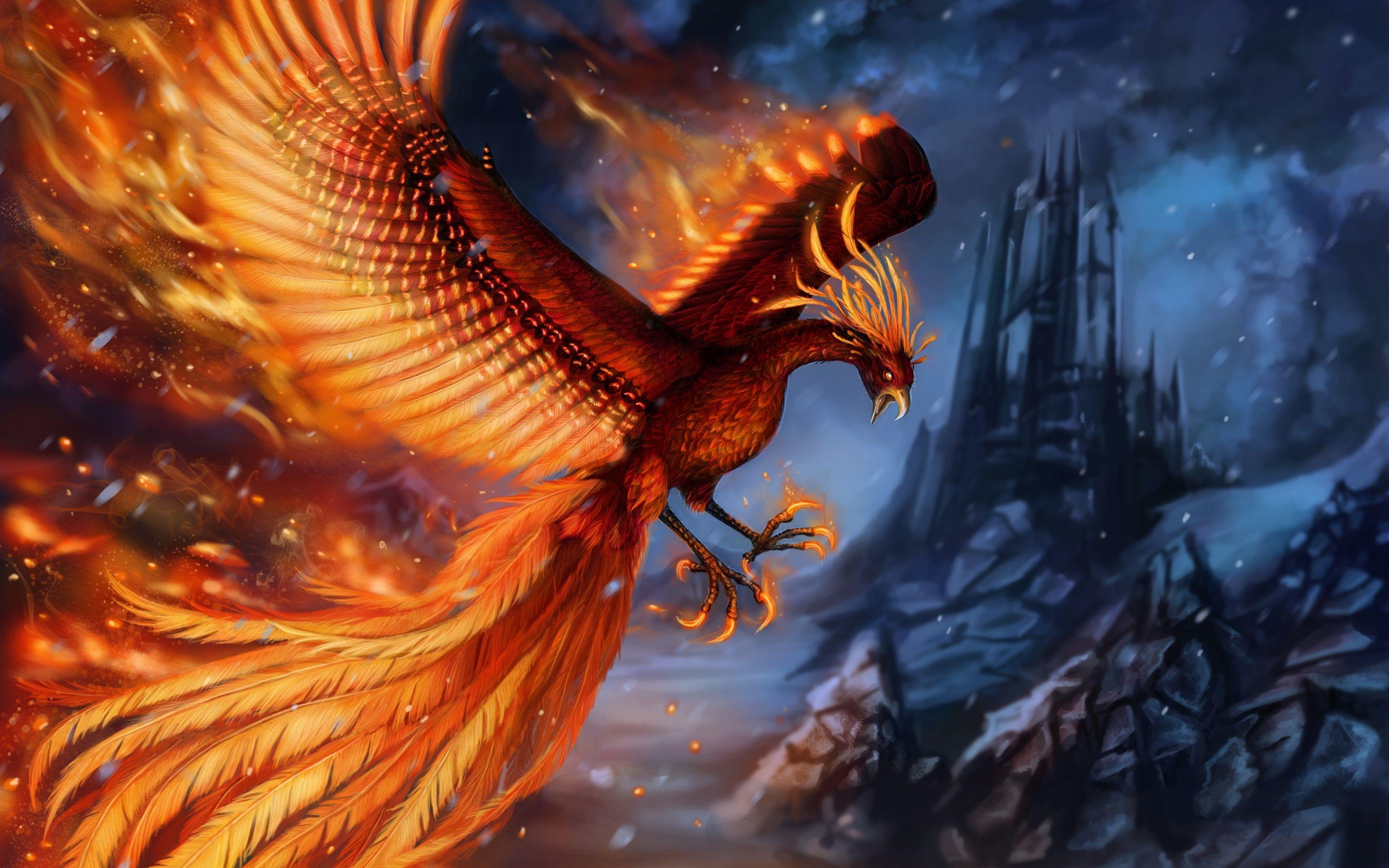 Beautiful Phoenix Wallpapers - Top Free Beautiful Phoenix Backgrounds