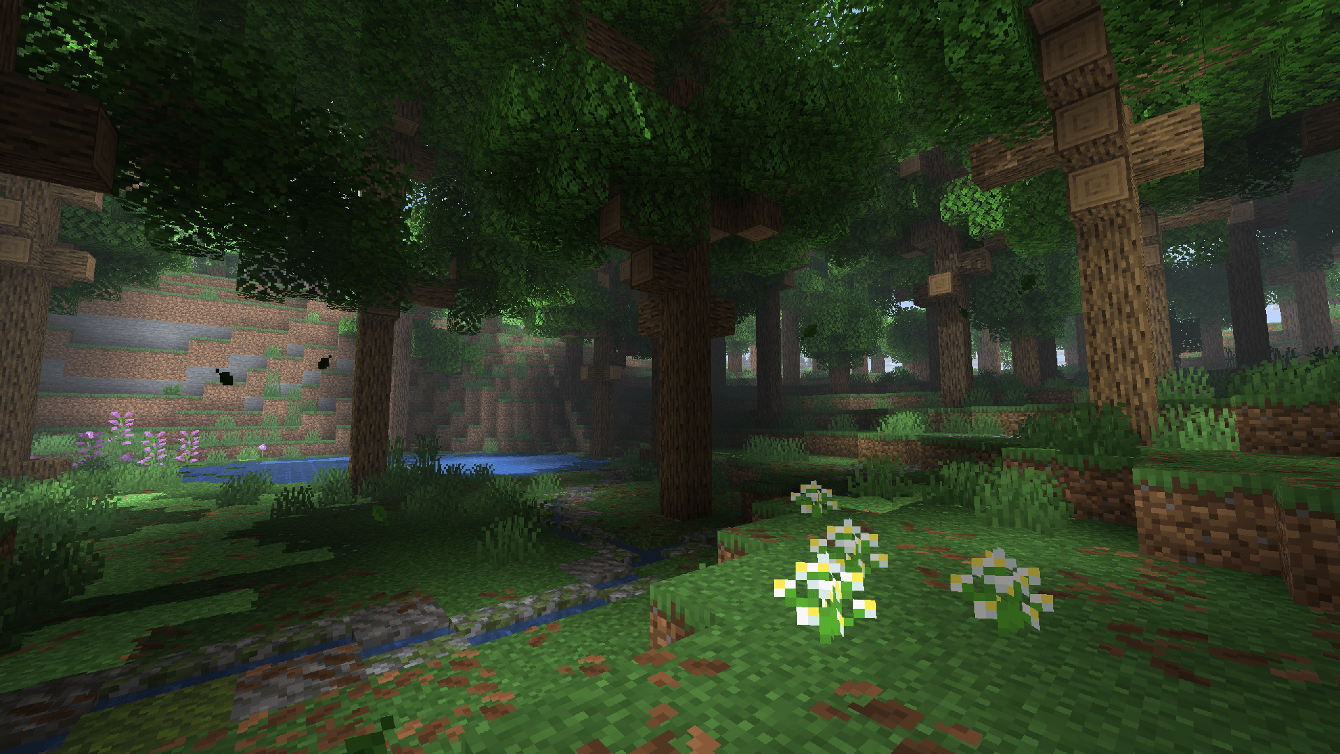 1920x1080 Old Growth Forest Data Packs