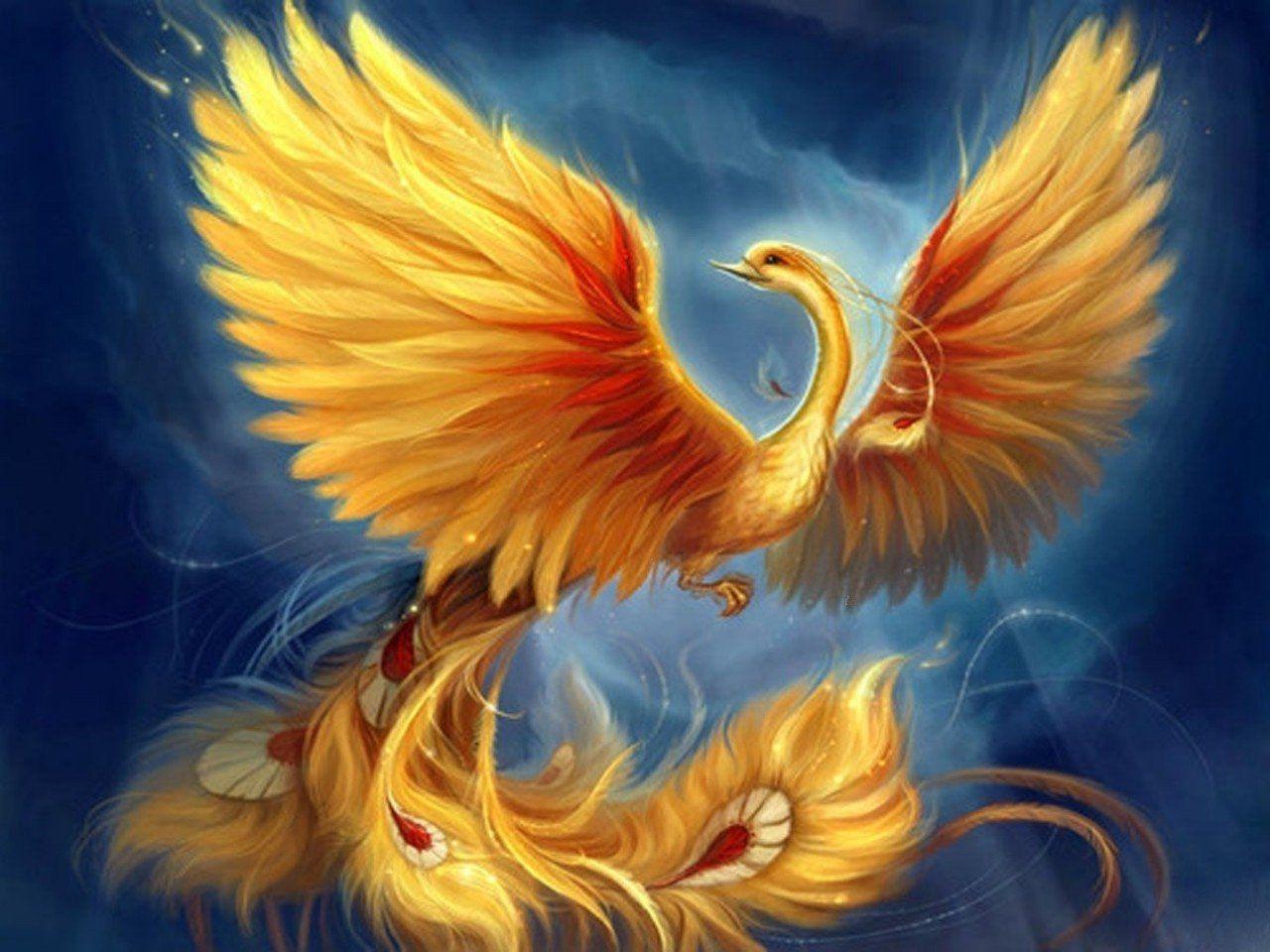 Mythical Phoenix Wallpapers - Top Free Mythical Phoenix Backgrounds -  WallpaperAccess