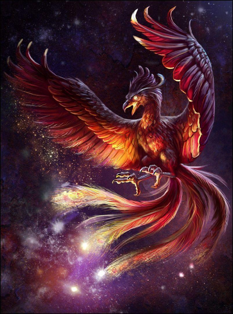 804x1082 Phoenix Wallpaper 157. Phoenix artwork, Phoenix wallpaper, Bird drawings