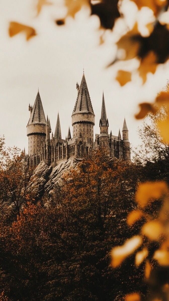 673x1200 Fall hogwarts aesthetic wallpaper. Autumn hogwarts, Wizarding world, Harry potter aesthetic