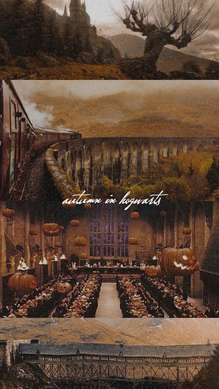 736x1308 Harry Potter Wallpaper. Hogwart. Autumn