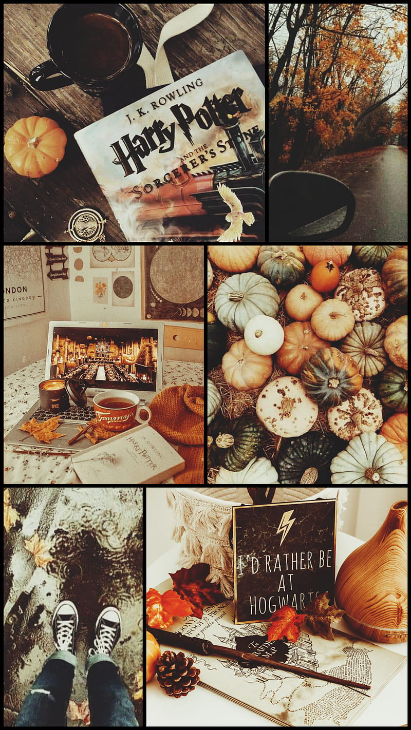 800x1422 Hogwarts autumn, HD phone wallpaper