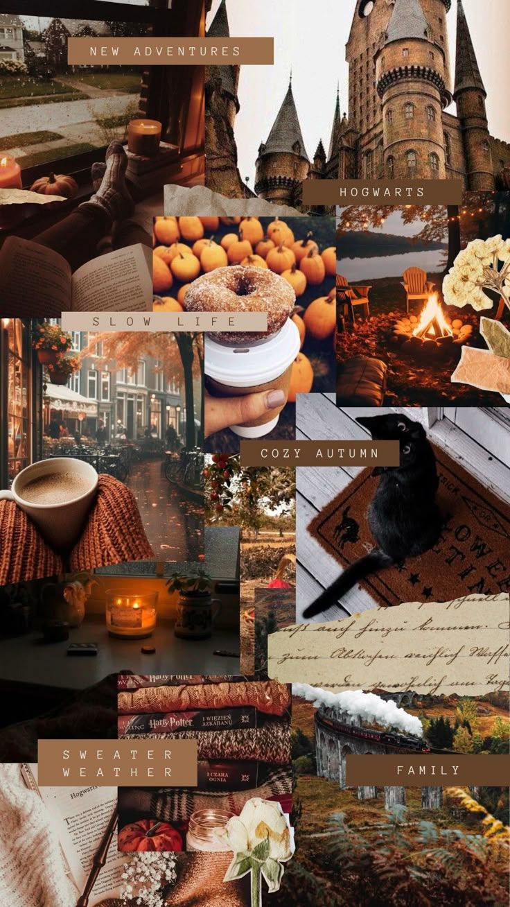 736x1308 Cozy Fall Hogwarts