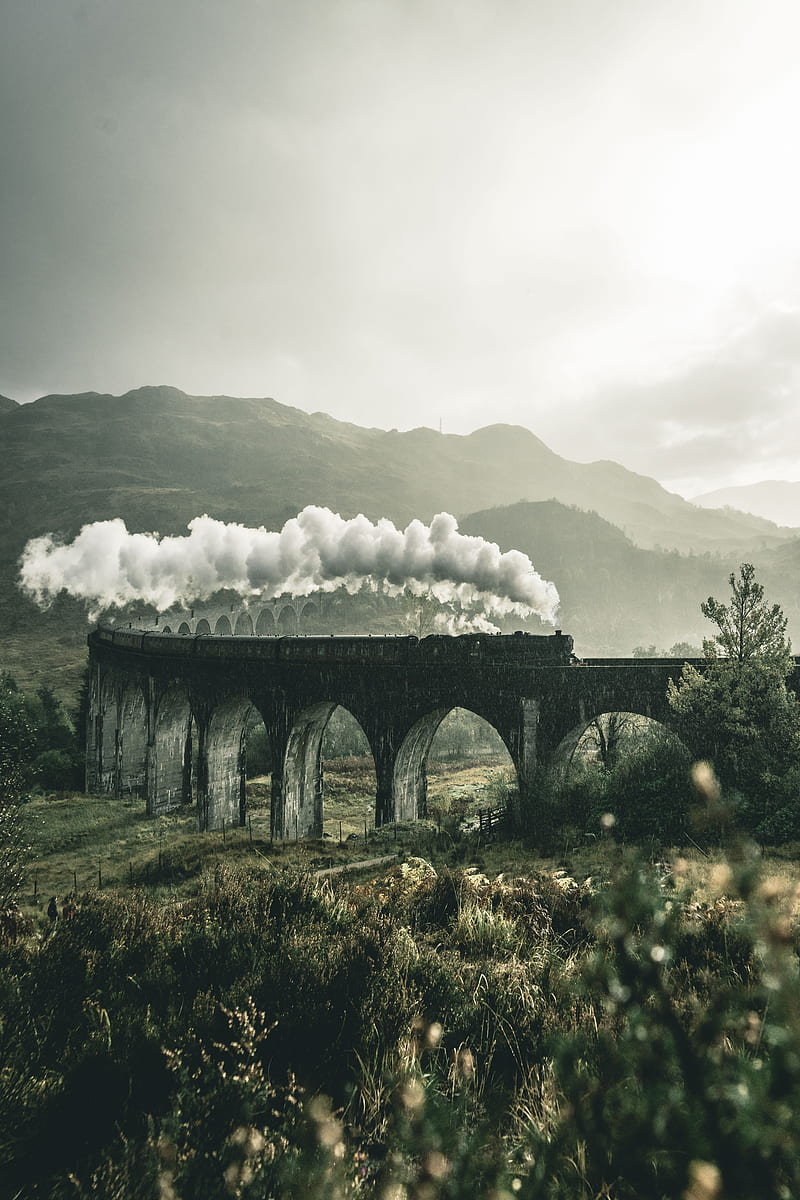 800x1200 Harry Potter Train, comic, fall, harry potter, lovely, munis, nature, romantic, HD phone wallpaper