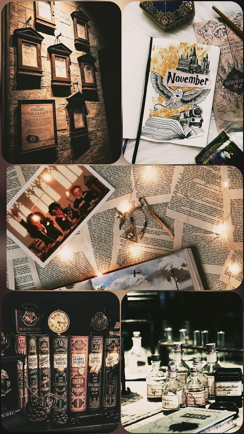 800x1423 Harry potter autumn, autumnal, harry potter, HD phone wallpaper