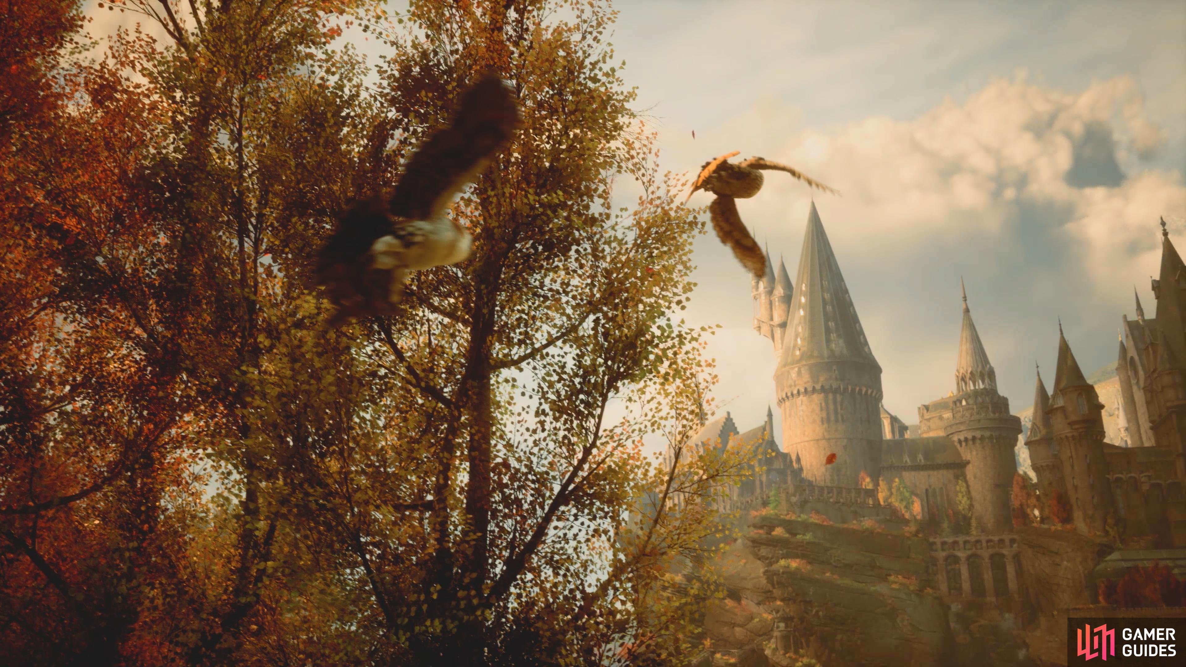 3840x2160 What Do The Seasons and Time of Day Change?. Hogwarts Legacy. Gamer Guides®