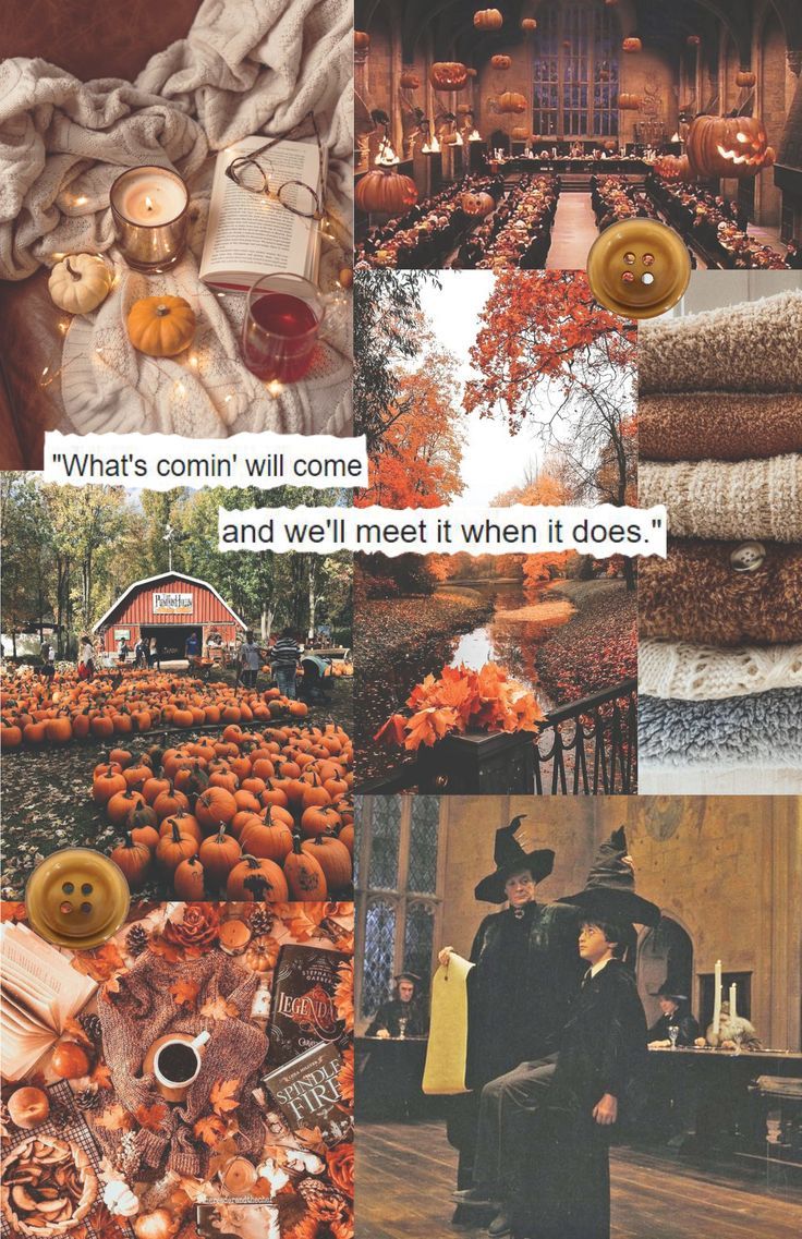 736x1137 Harry Potter Fall Wallpaper