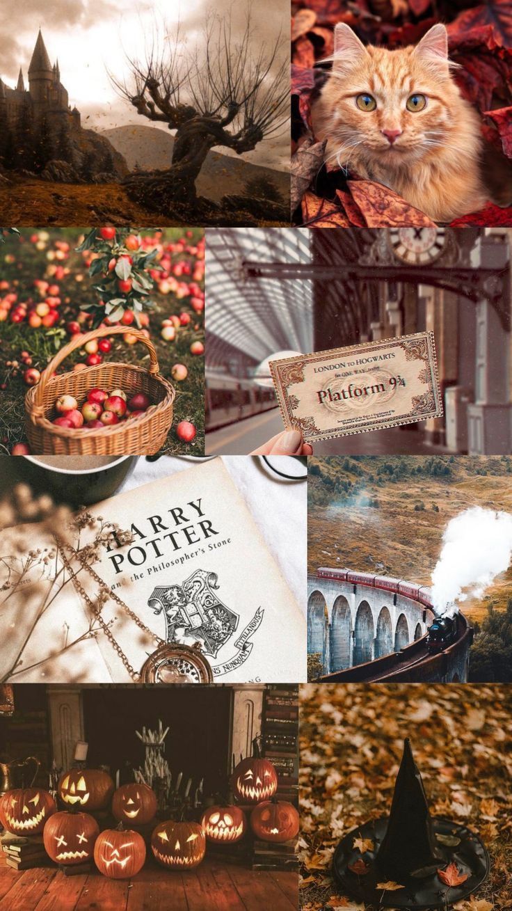 736x1309 Harry potter aesthetic halloween. Hogwarts fall aesthetic, Halloween hogwarts wallpaper, Halloween vibes