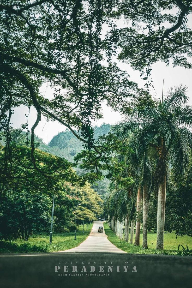 736x1104 University of peradeniya