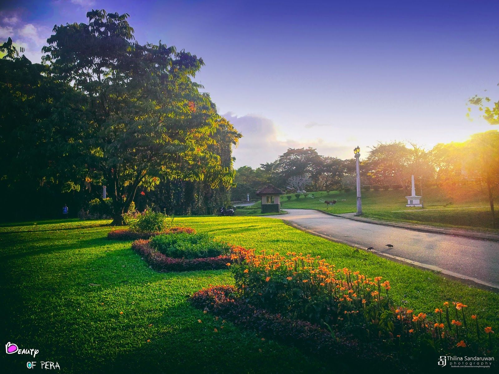 1600x1200 Thilina Sandaruwan Photography: University of Peradeniya 1 to 29