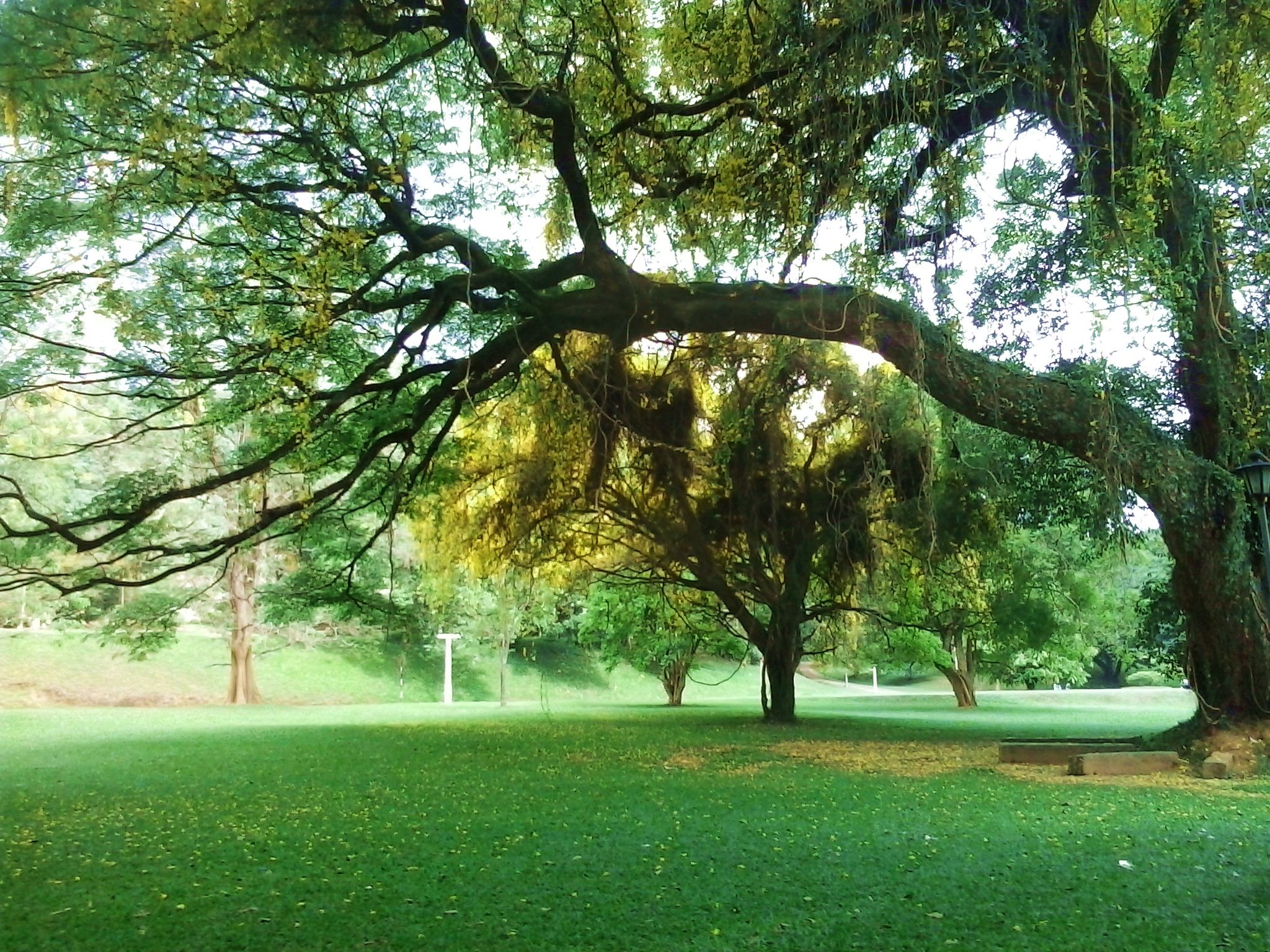 2048x1536 University of Peradeniya (2)(Q3083280)