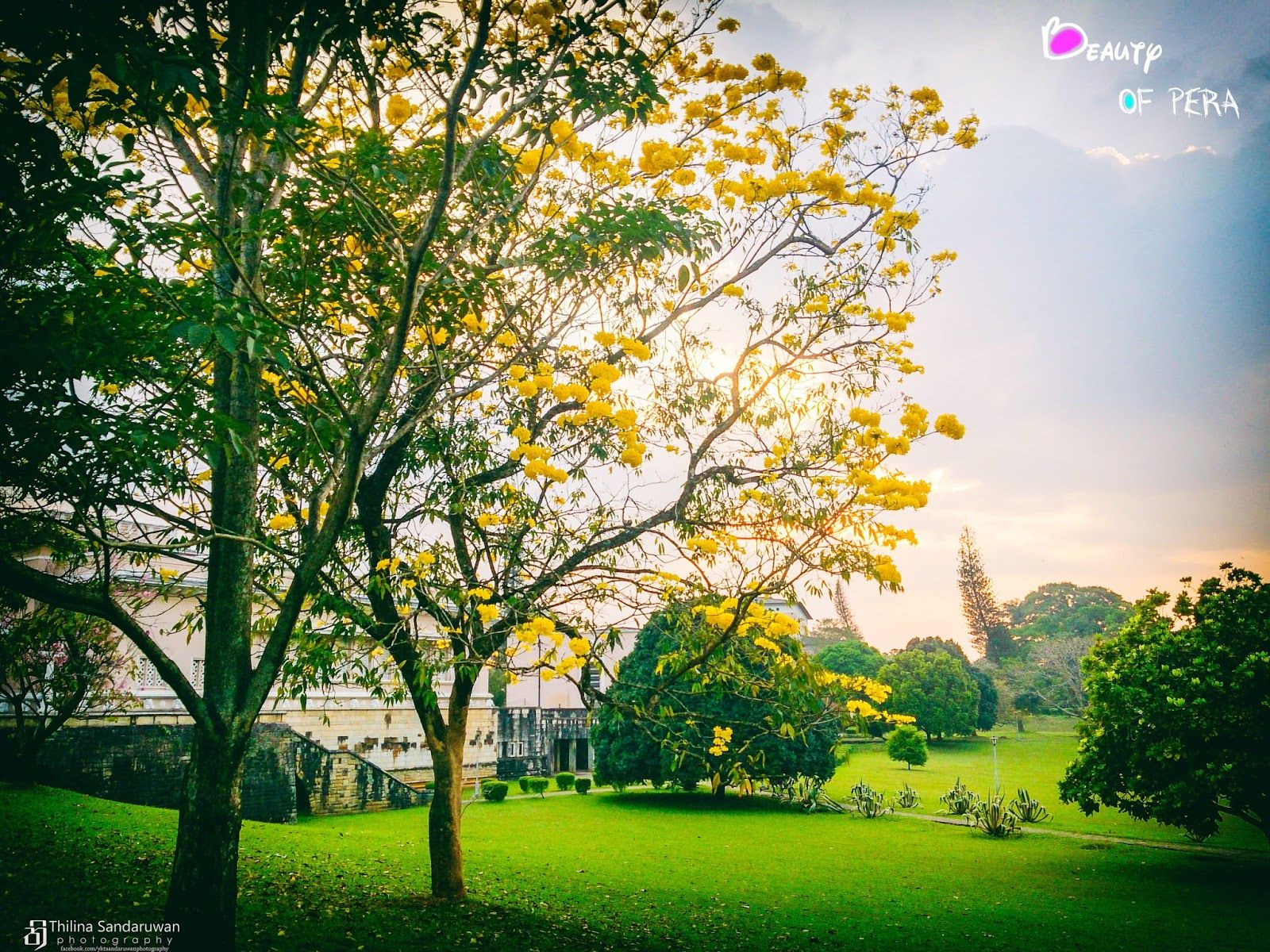 1600x1200 Thilina Sandaruwan Photography: University of Peradeniya 1 to 29
