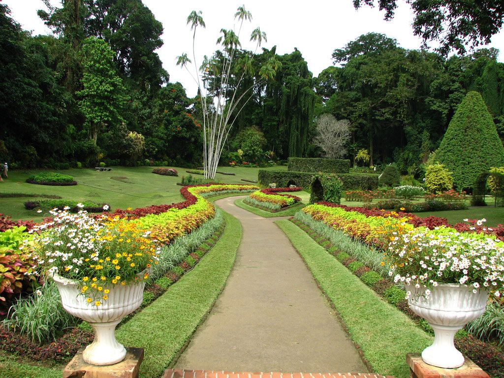 1024x768 Peradeniya Botanic Gardens