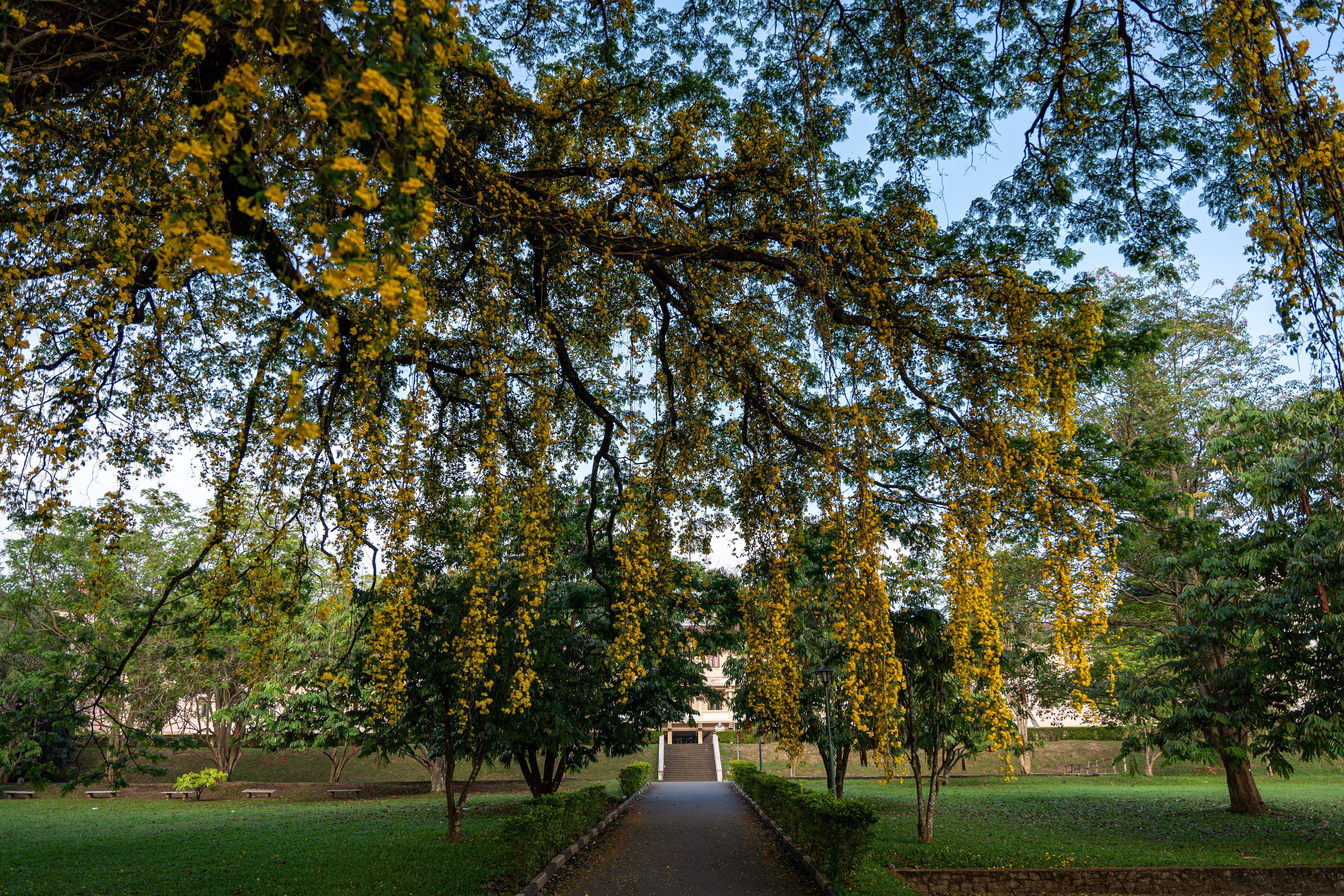 5823x3882 University Of Peradeniya Photo, Download The BEST Free University Of Peradeniya & HD Image