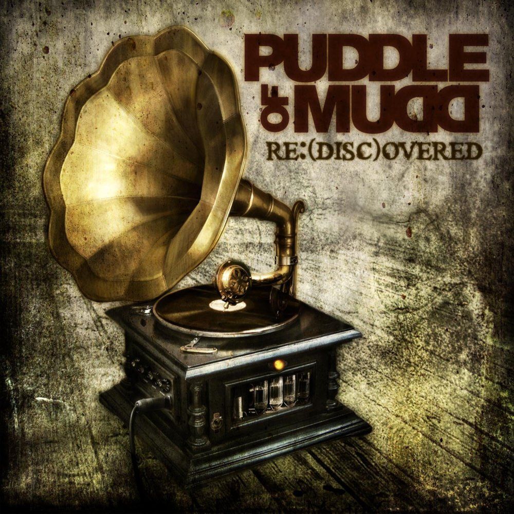 1000x1000 Puddle of Mudd