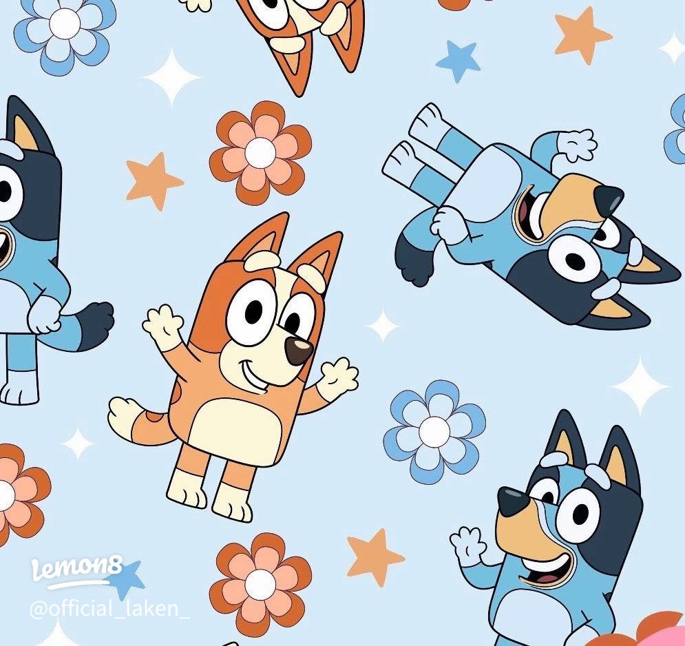 995x938 Bluey House Wallpaper