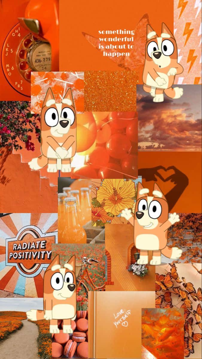 675x1200 Download Orange Aesthetic Bluey Collage Wallpaper