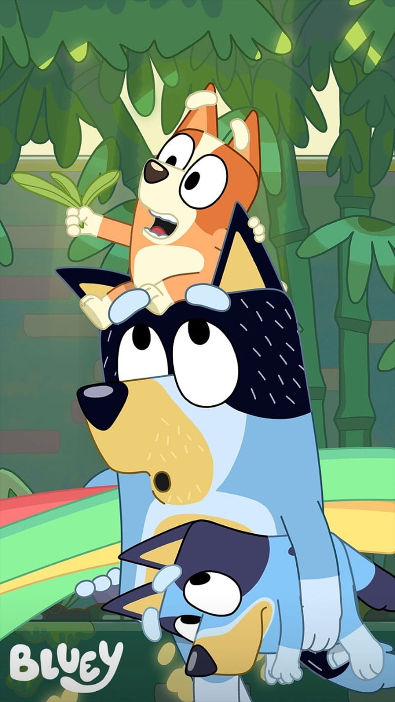 800x1422 HD bluey wallpaper