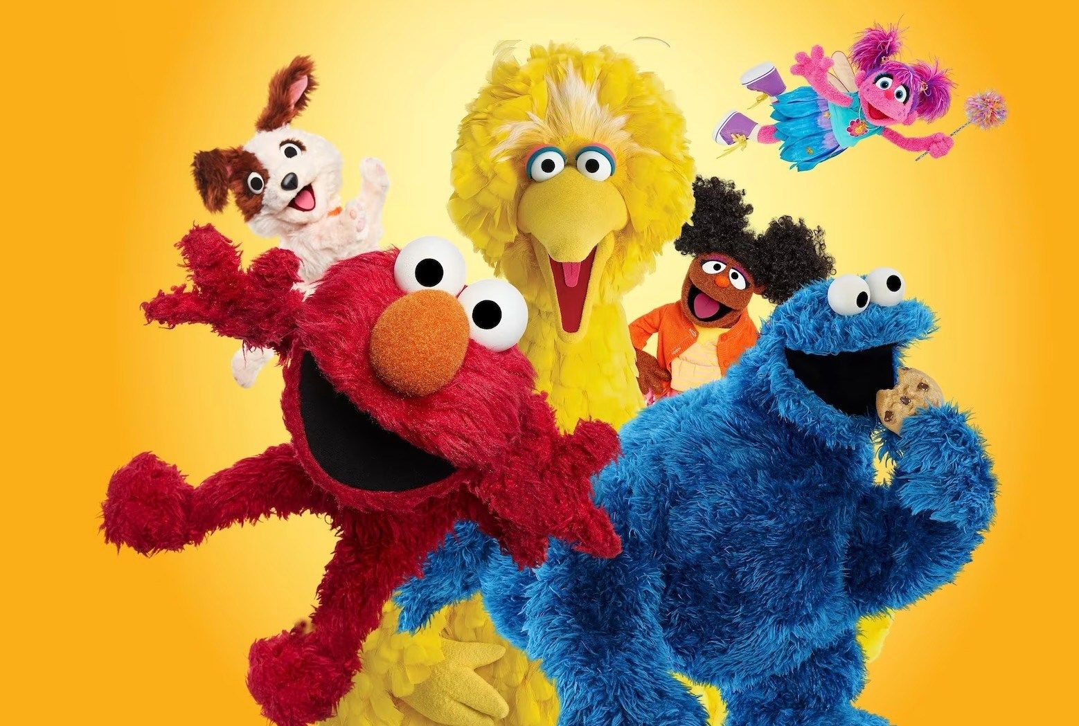 1558x1049 Elmo needs a new streaming home after Max drops Sesame Street