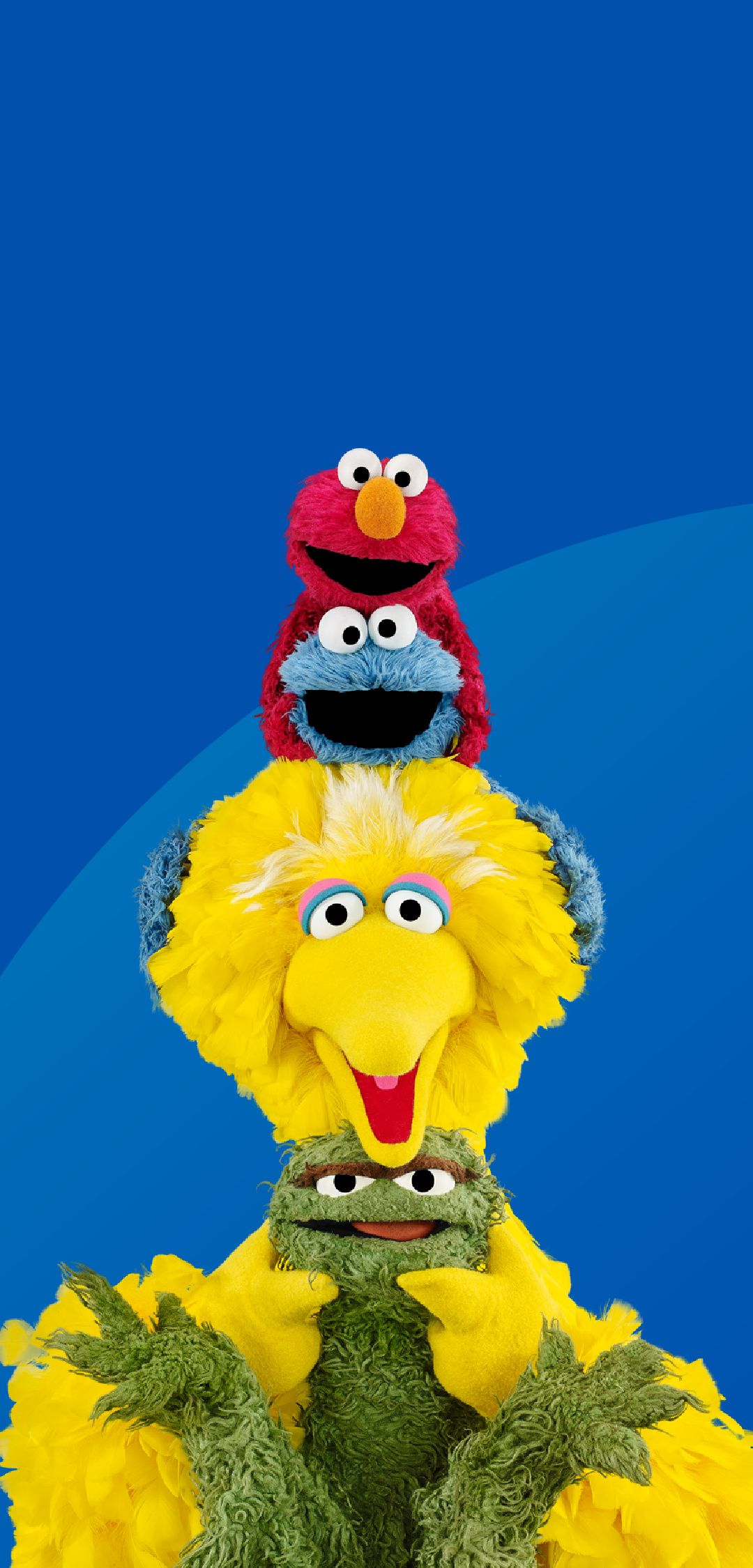 1080x2250 Sesame Street Wallpaper