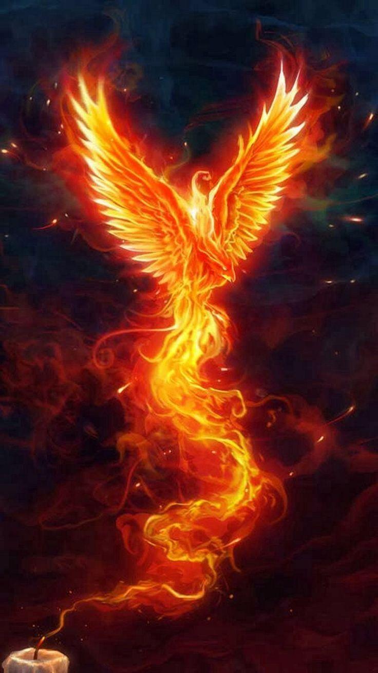 Mythical Phoenix Wallpapers - Top Free Mythical Phoenix Backgrounds ...