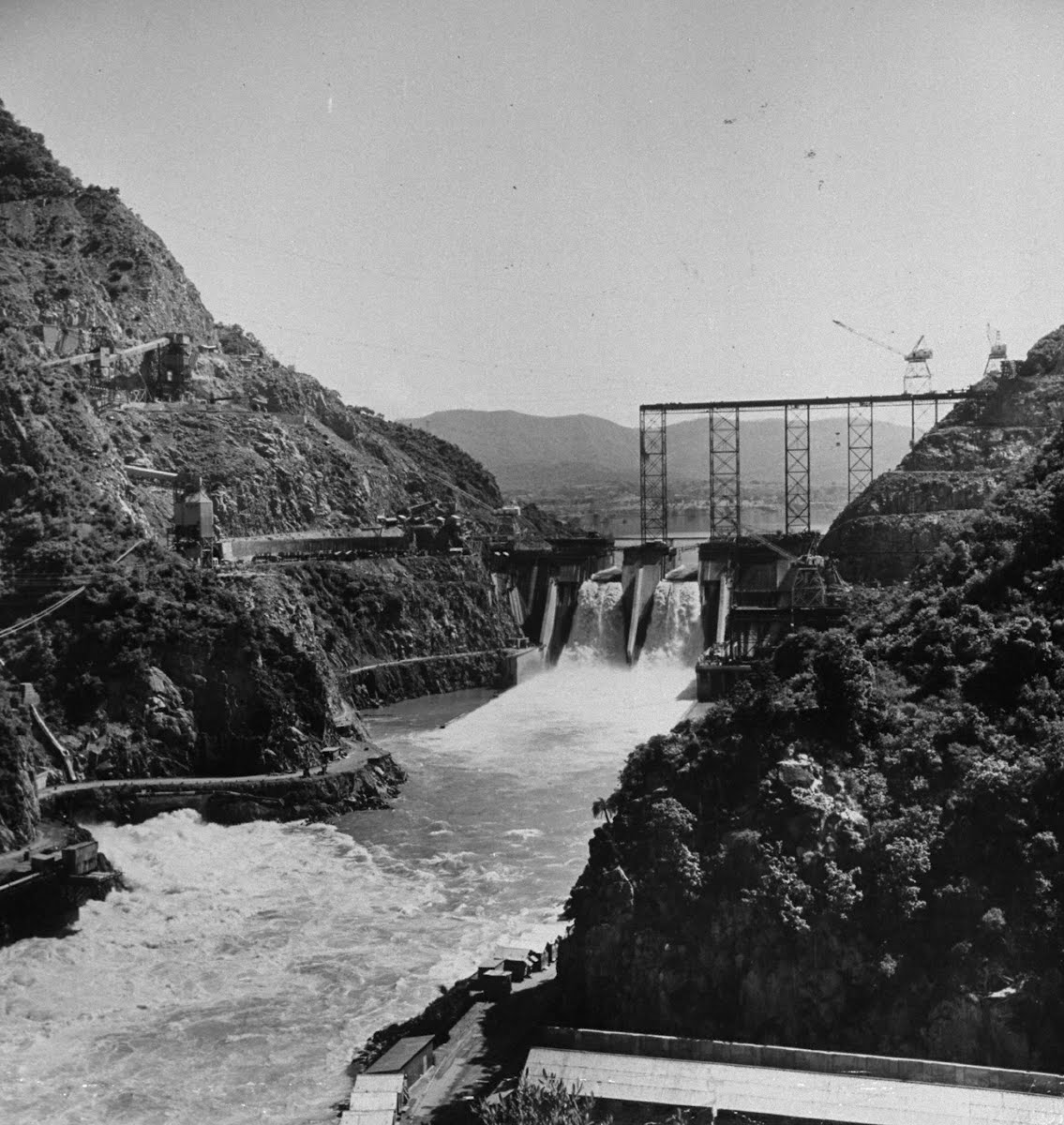 1135x1200 Bhakra Dam