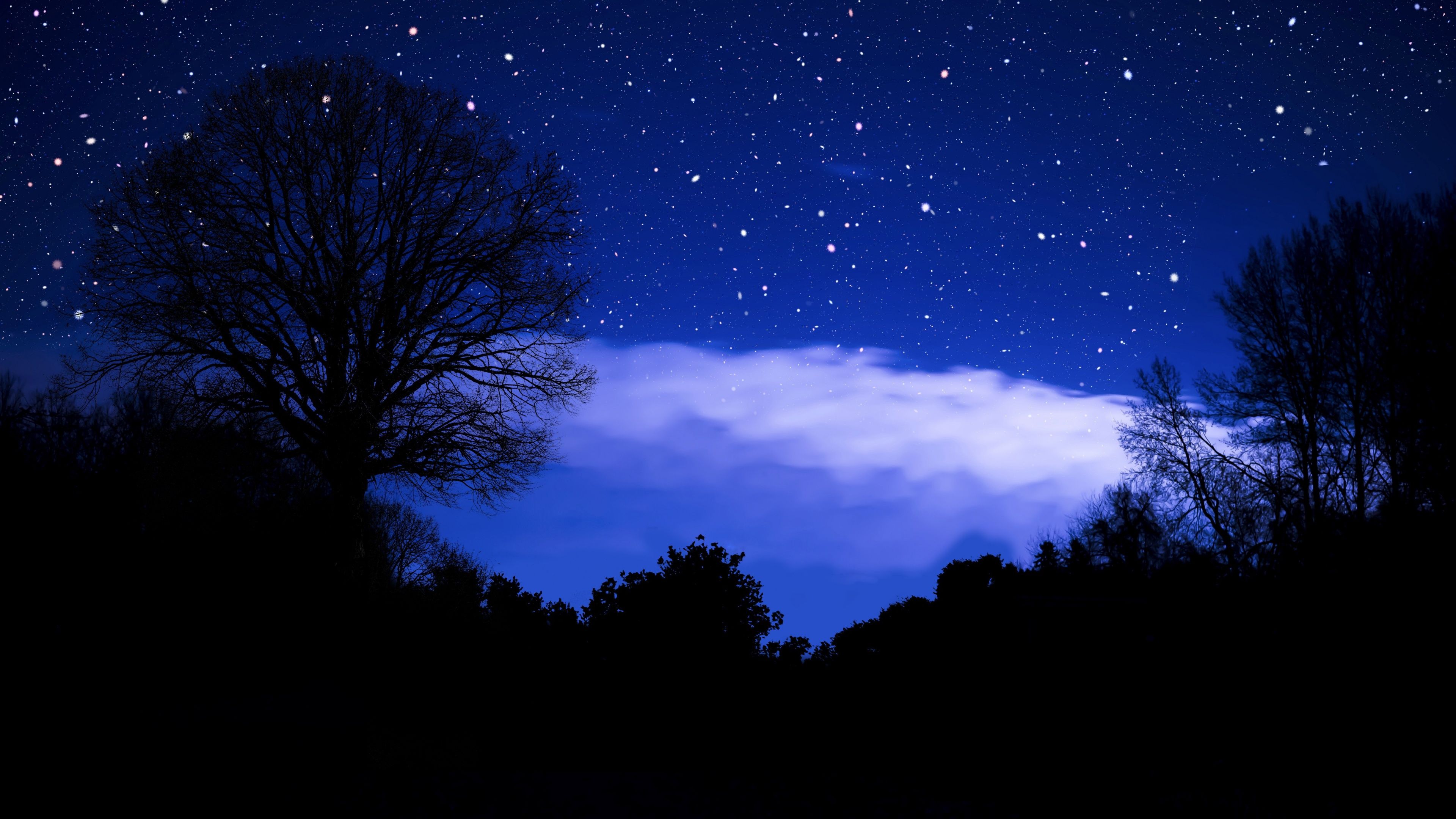 3840x2160 Stars in sky Wallpaper 4K, Dark blue, Silhouette, Night sky