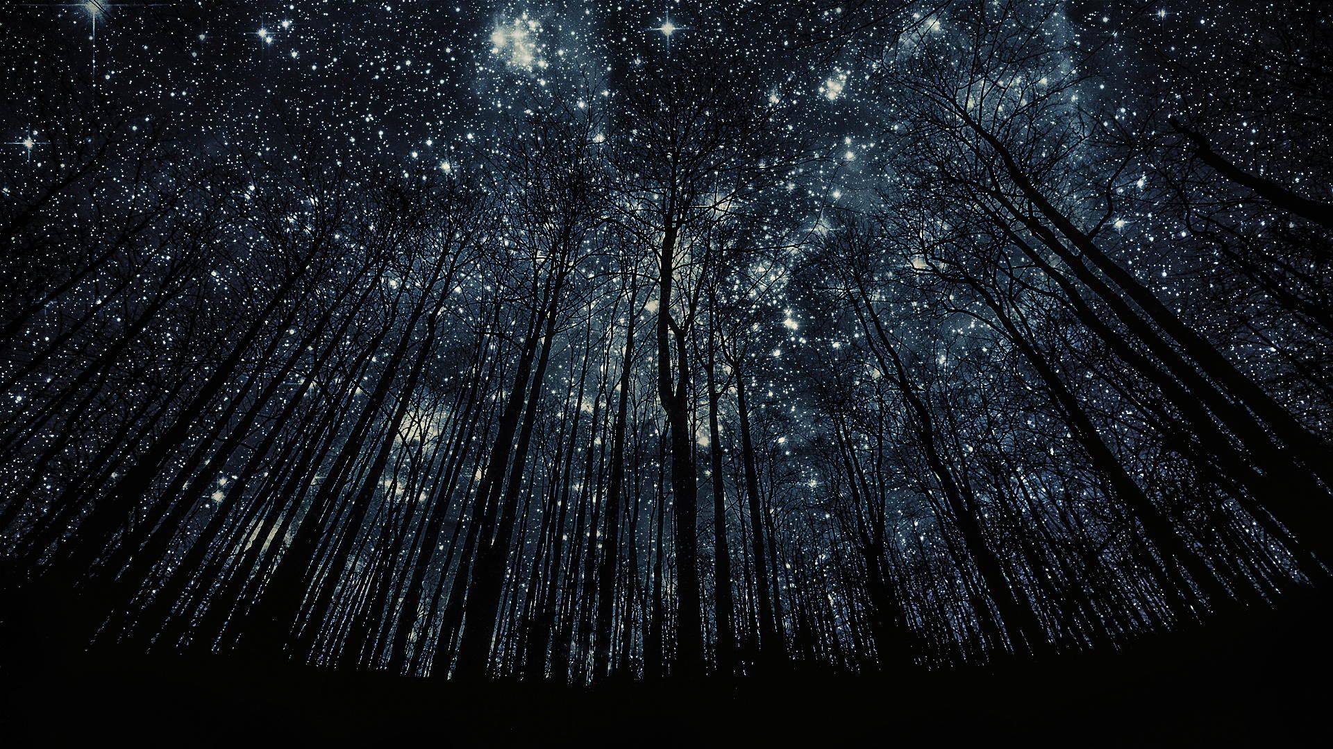 1920x1080 Night Sky full of Stars HD Wallpaper [1920 x 1080]