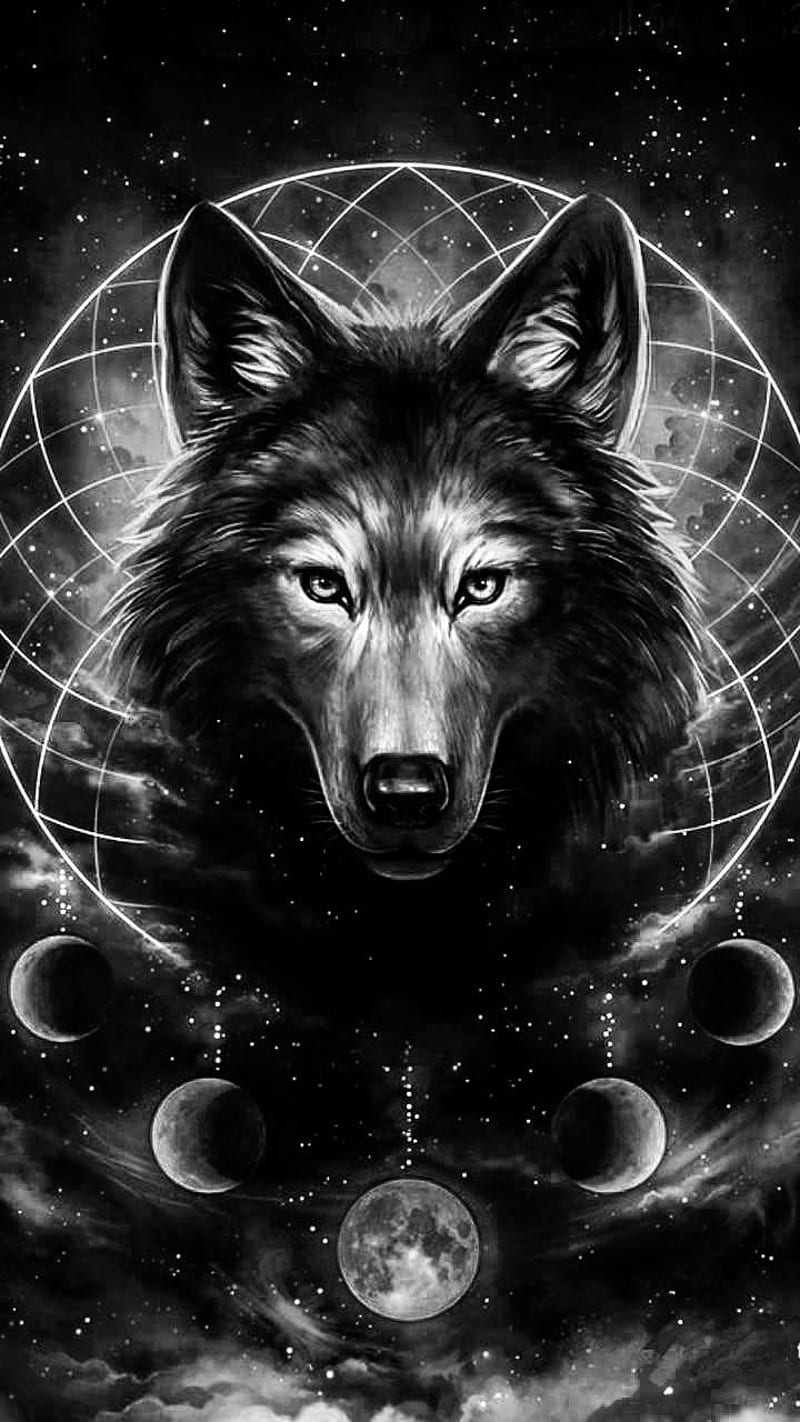 800x1422 Wolf in the galaxy, black, ice, lights, lonely, northern, shadow, white, wolves, HD phone wallpaper