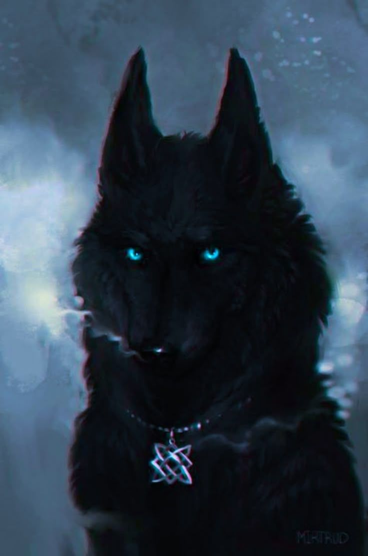 736x1113 Black Wolf with Blue Eyes. Black shadow wolf, Black wolf profile picture, Black wolf blue