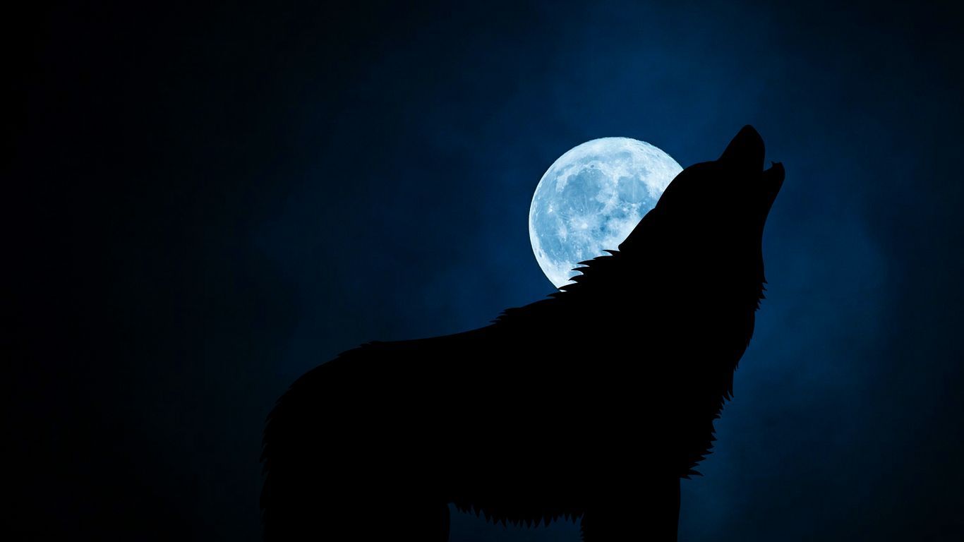 1366x768 Download wallpaper 1366x768 wolf, silhouette, moon, night tablet, laptop HD background