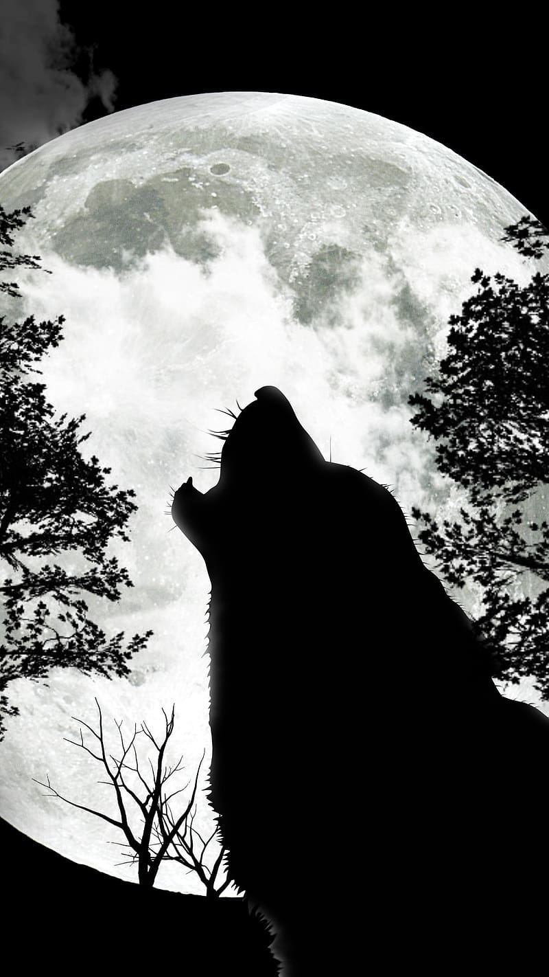 800x1422 Dark Black Wolf, dark black, wolf, moon, animal, HD phone wallpaper