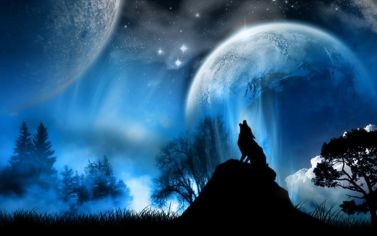 1600x1000 Blue, black, and white wolf photo beside moon HD wallpaper