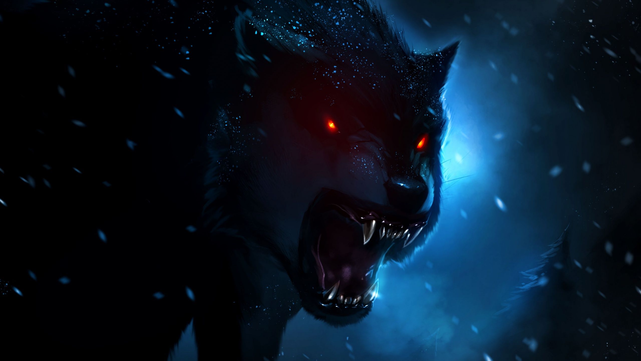 2560x1440 Black Wolf Wallpaper 4K, Red eyes, Snowfall