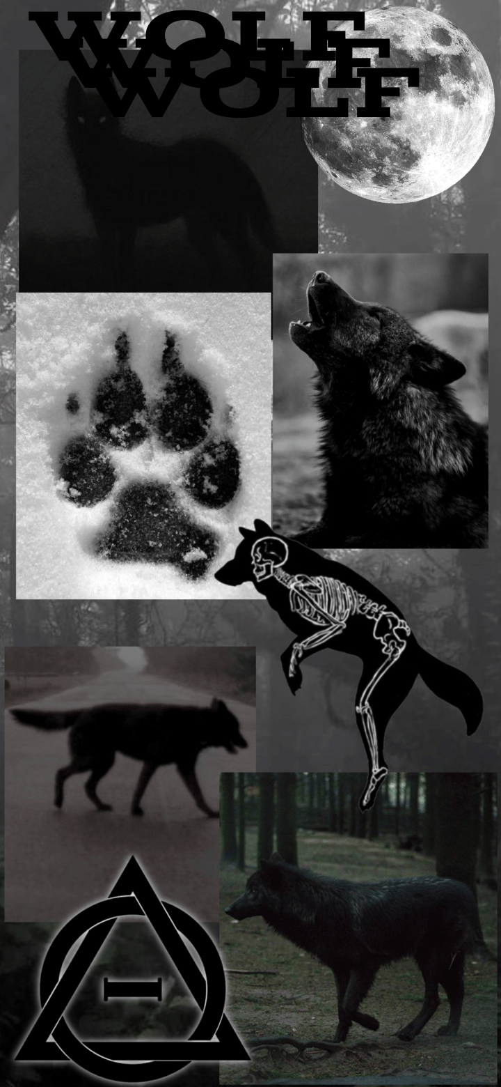 720x1560 Black wolf wallpaper