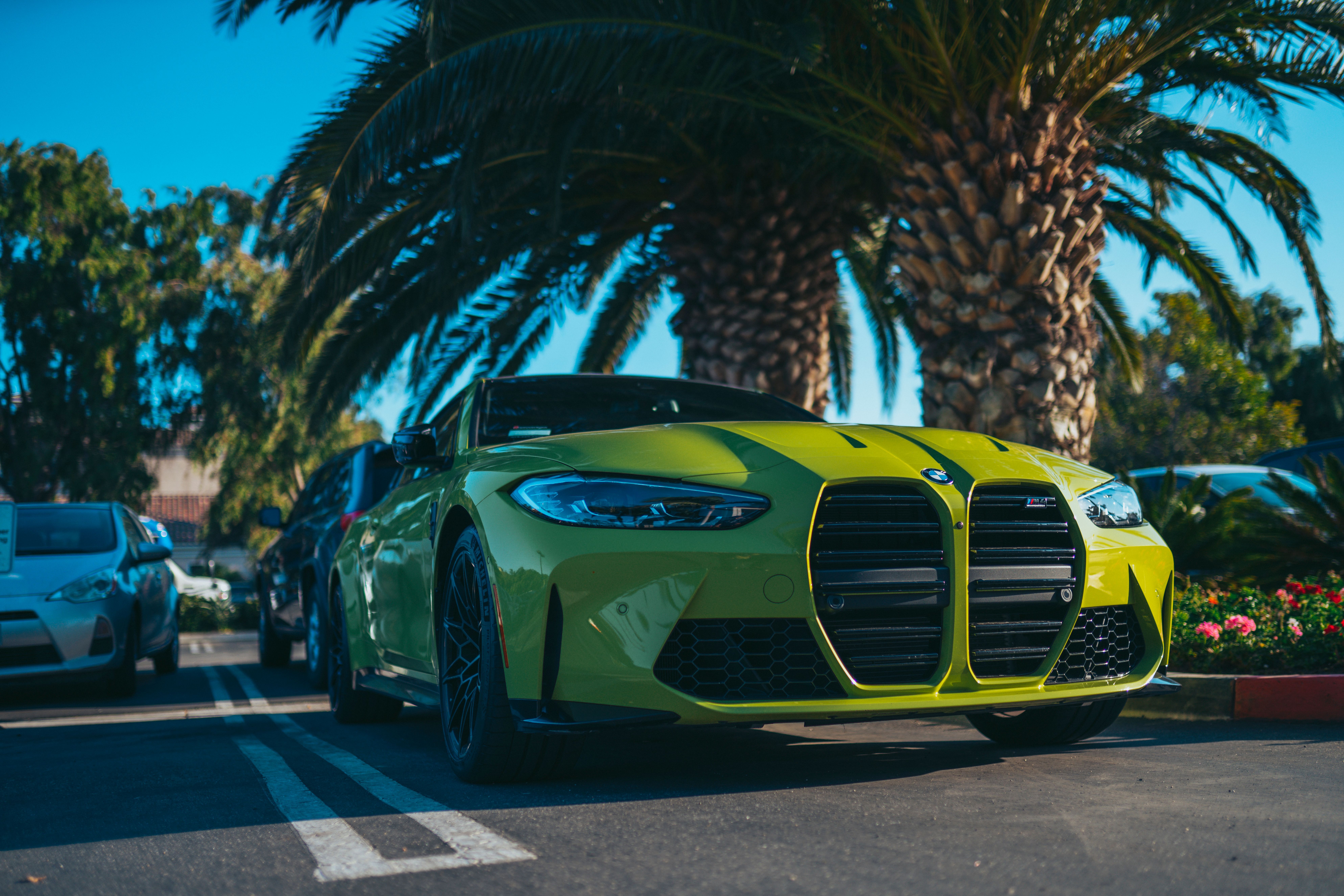 7952x5304 Green BMW M4 on a Parking Lot under a Palm Tree · Free