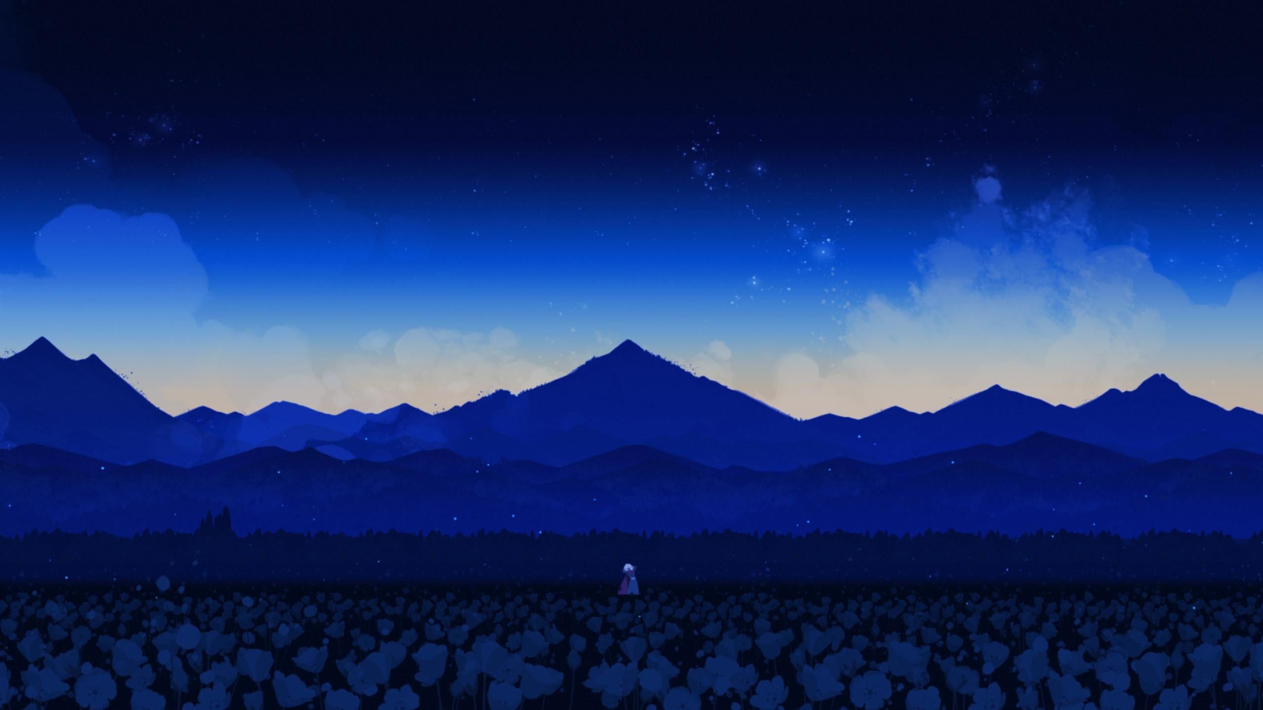 2560x1440 Neva: night time landscape [2560x1440]