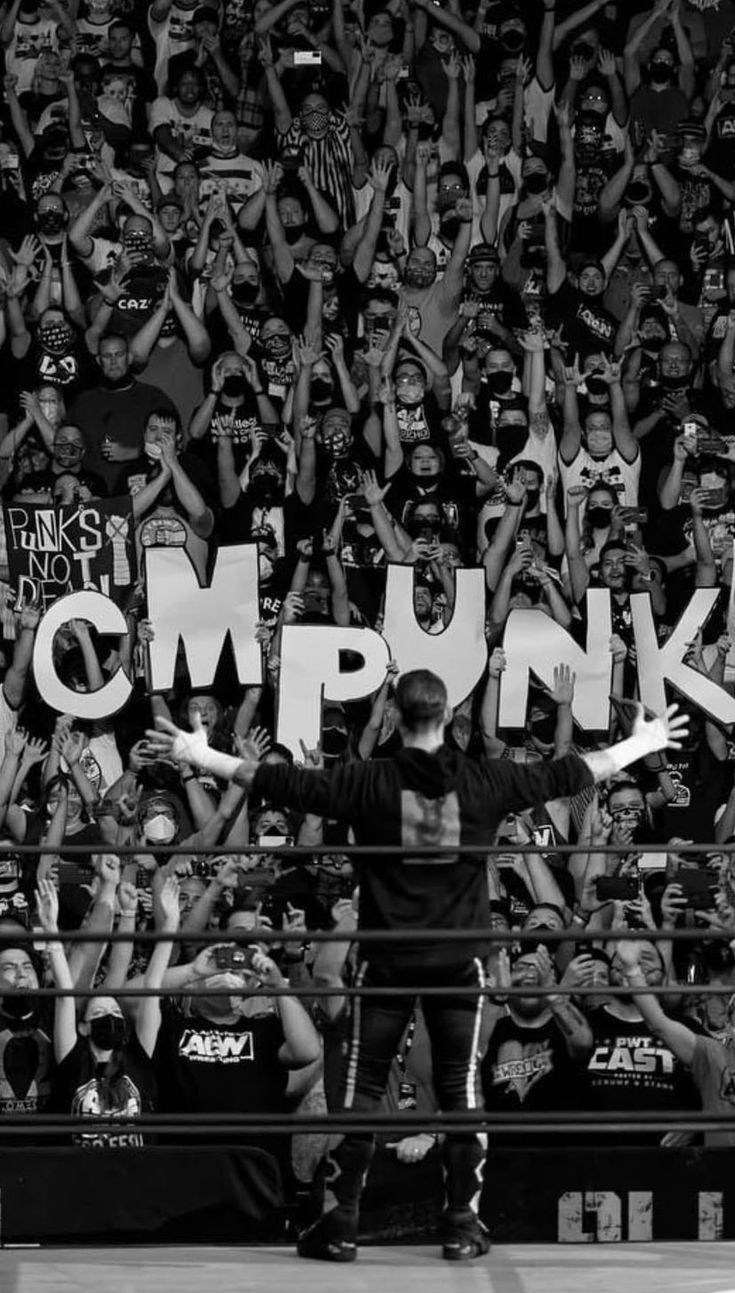 735x1293 WWE CM PUNK WALLPAPER