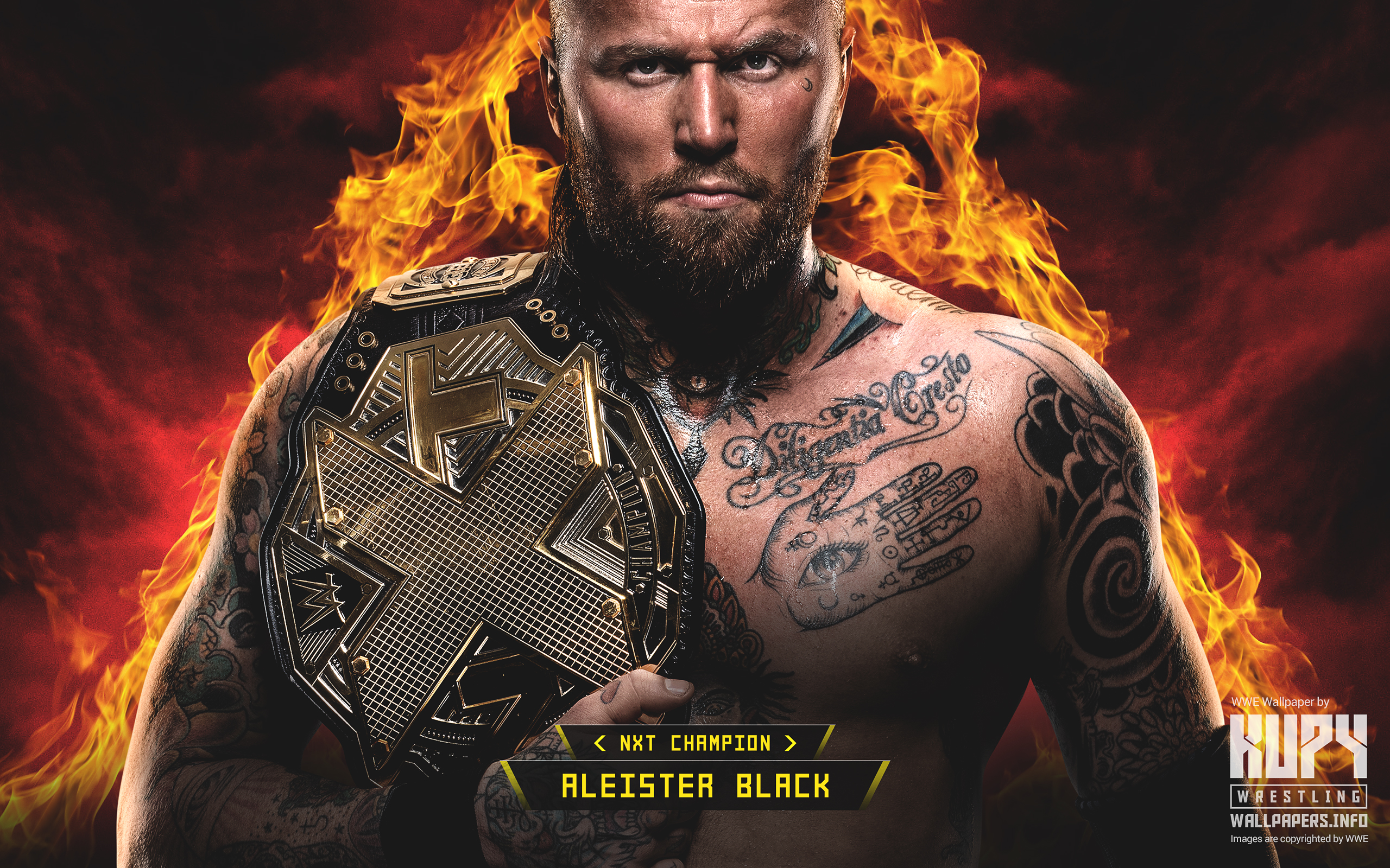 2560x1600 Aleister Black NXT Champion Wallpaper! Wrestling Wallpaper