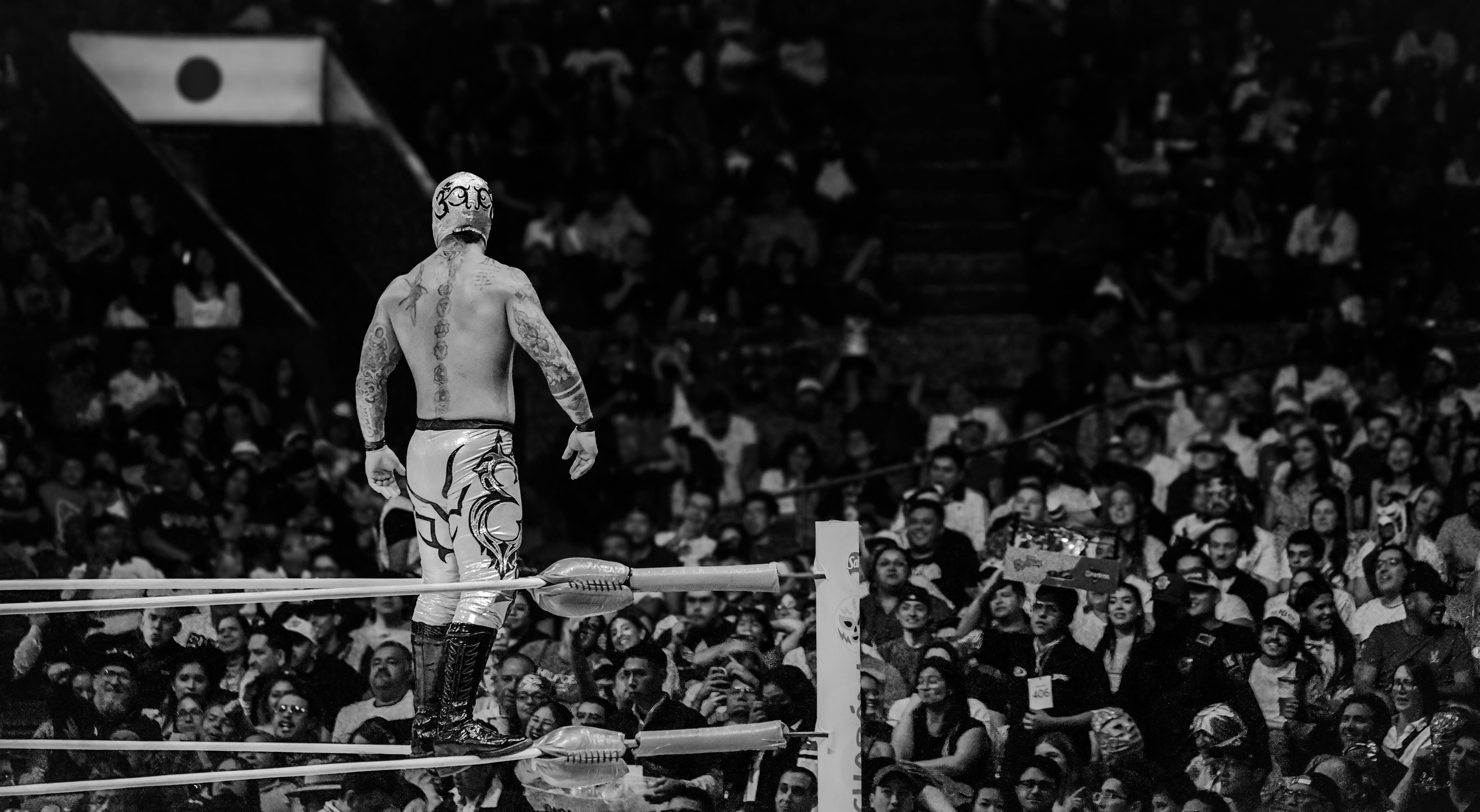 6024x3306 4k Wallpaper Wwe Photo, Download The BEST Free 4k Wallpaper Wwe & HD Image
