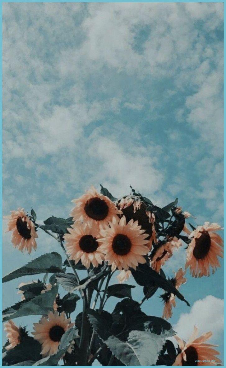 727x1181 New Ideas Wallpaper iPhone Vintage Retro Wallpaper Phones Wallpaper Phone