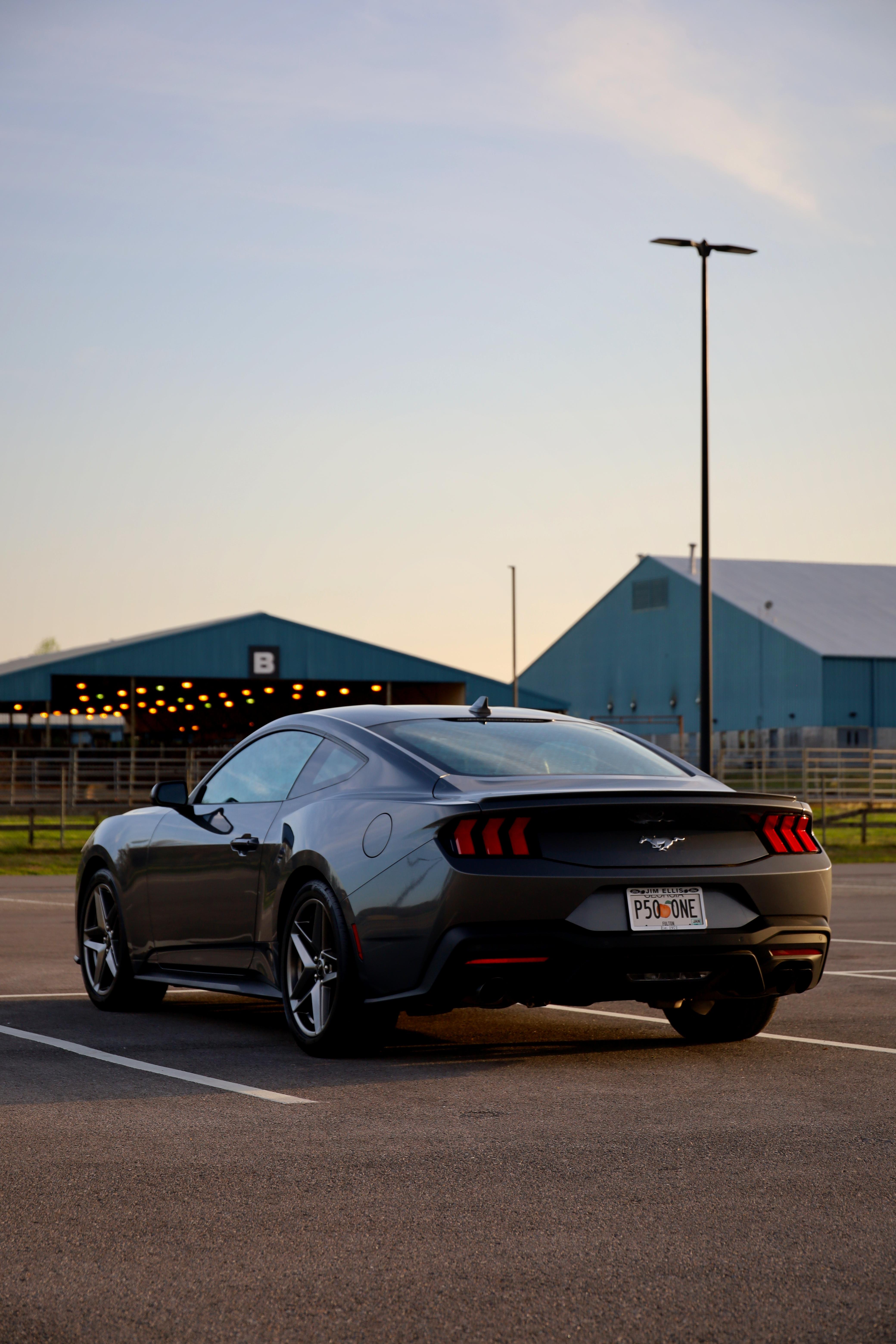4160x6240 Some picture of my 2025