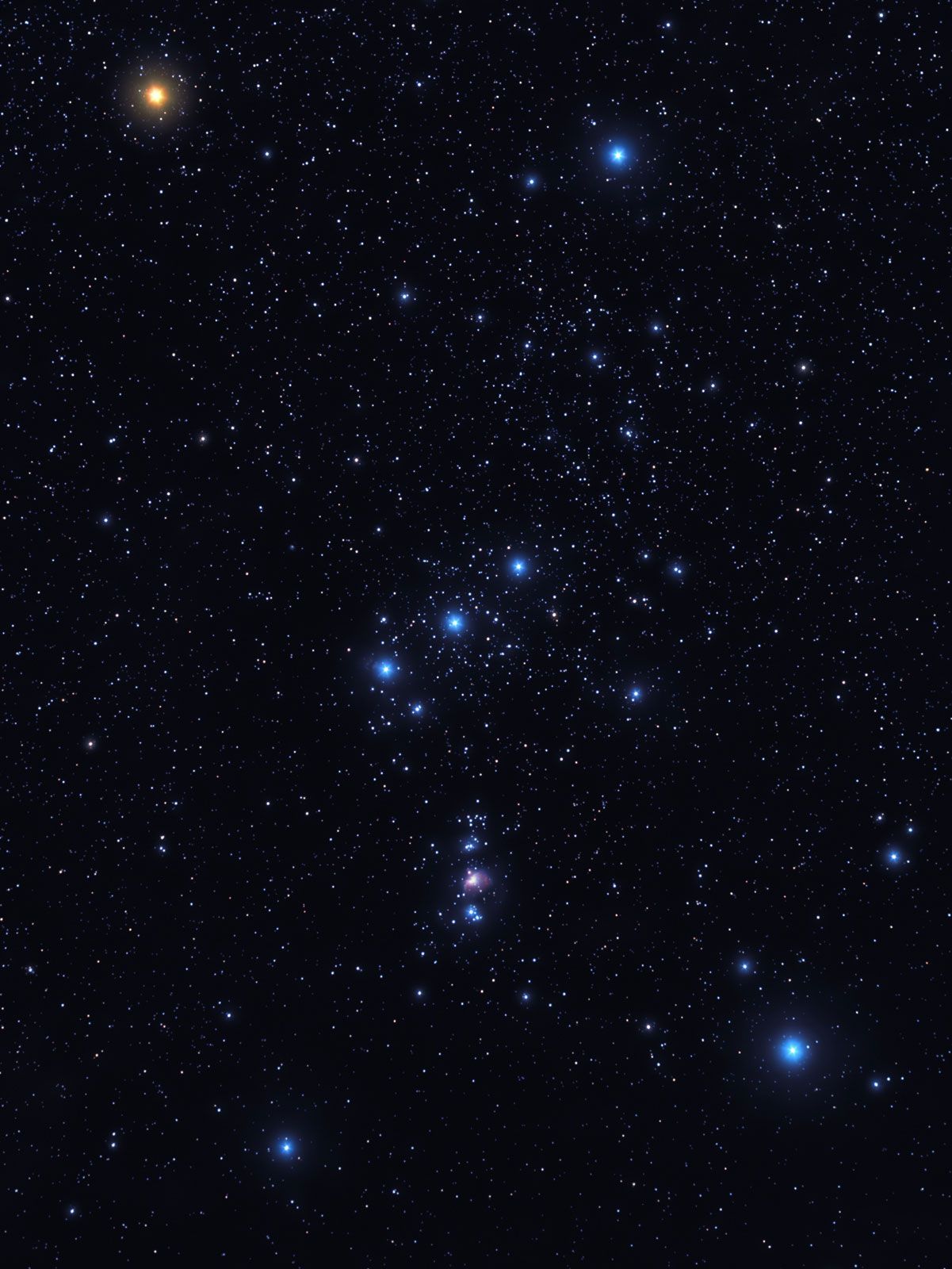 1201x1600 Rigel