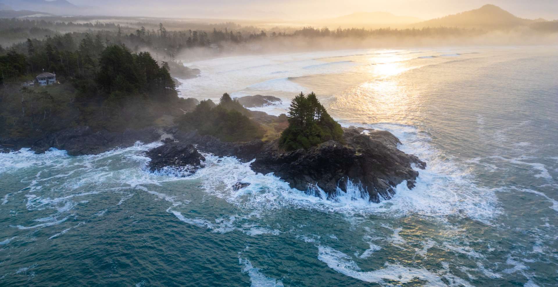 1920x987 Forest Bathing at Pettinger Point. Relaxation in Tofino's Wild