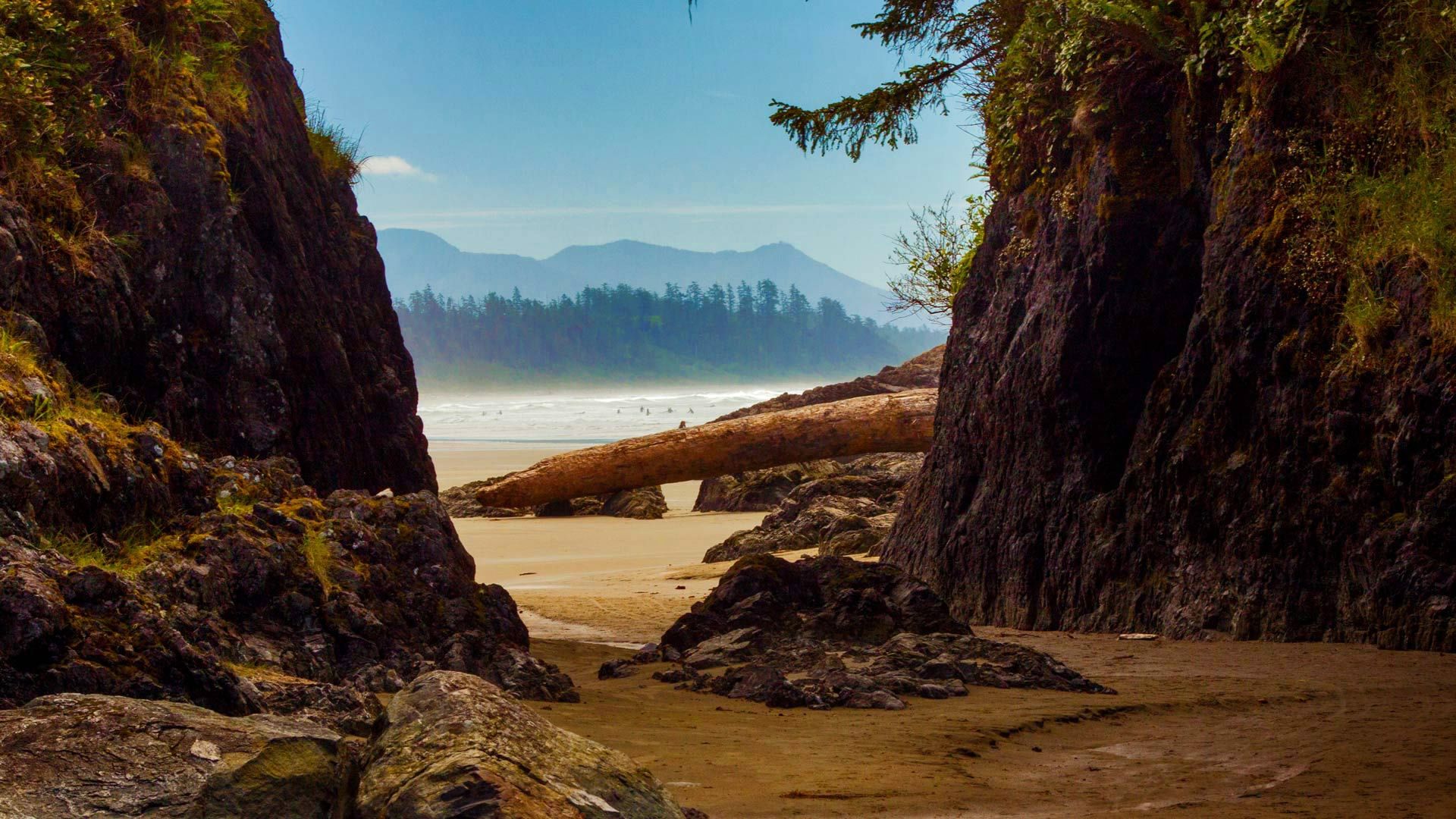 1920x1080 Free beach, trees Full HD wallpaper for desktop and phone